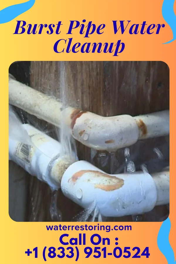 Burst Pipe Water Cleanup in Cuney, TX