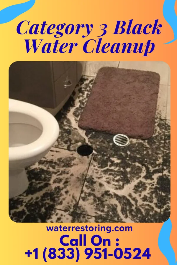 Category 3 Black Water Cleanup in Cuney, TX
