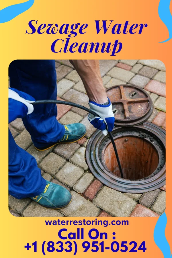 Sewage Water Cleanup in Cuney, TX